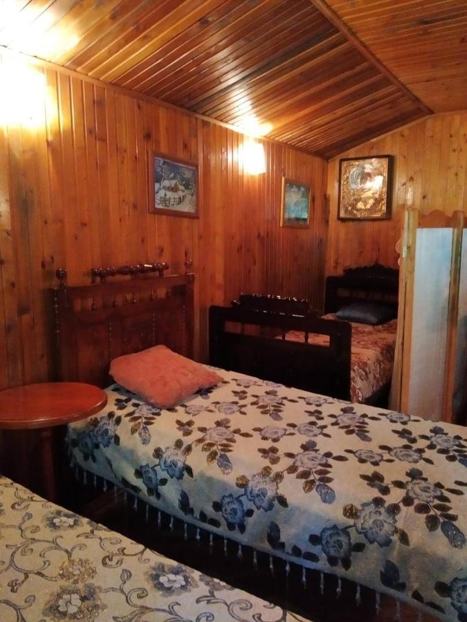Domik S Saunoy Na Ogiyenko Apartment Kamianets-Podilskyi Luaran gambar